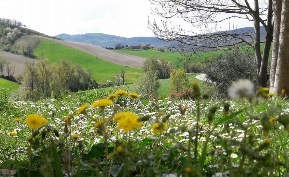 Agriturismo Il Colore Del Grano San Vittore  Exterior photo