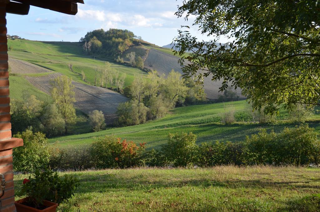 Agriturismo Il Colore Del Grano San Vittore  Exterior photo